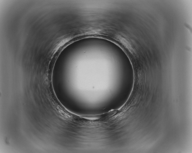 X0000098021308200803281325