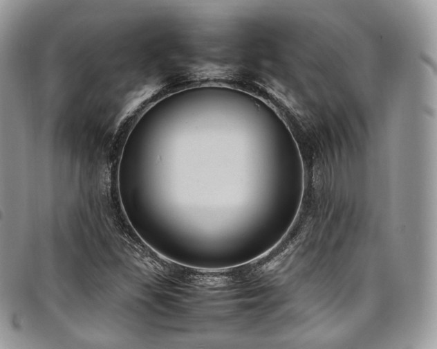 X0000098021309200803281326