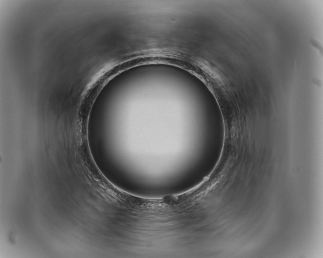 X0000098021310200803281326