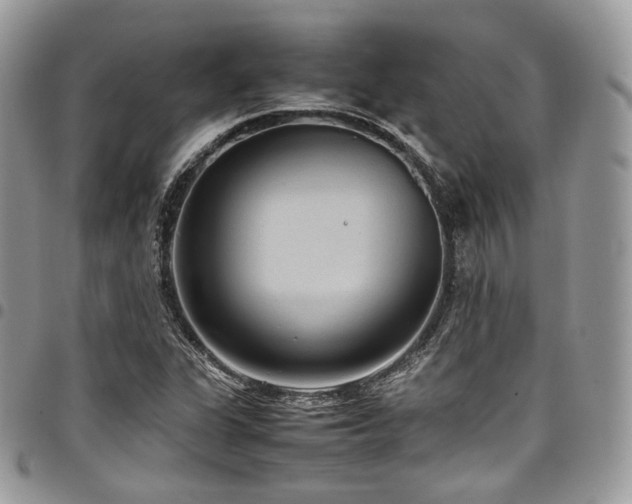 X0000098021311200803281326