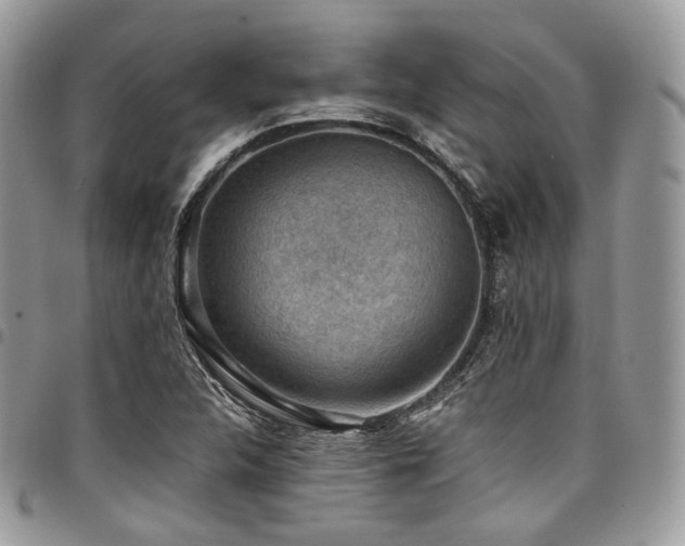 X0000098021312200803281326