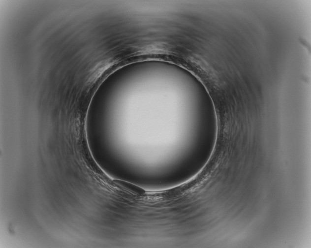 X0000098021313200803281326