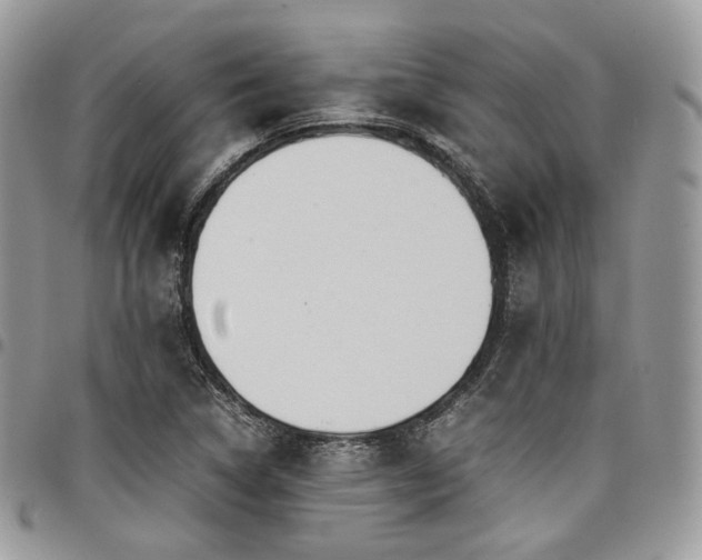 X0000098021314200803281326