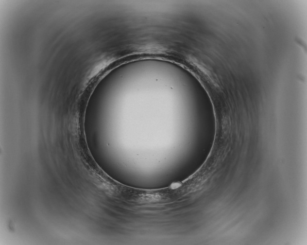 X0000098021315200803281326