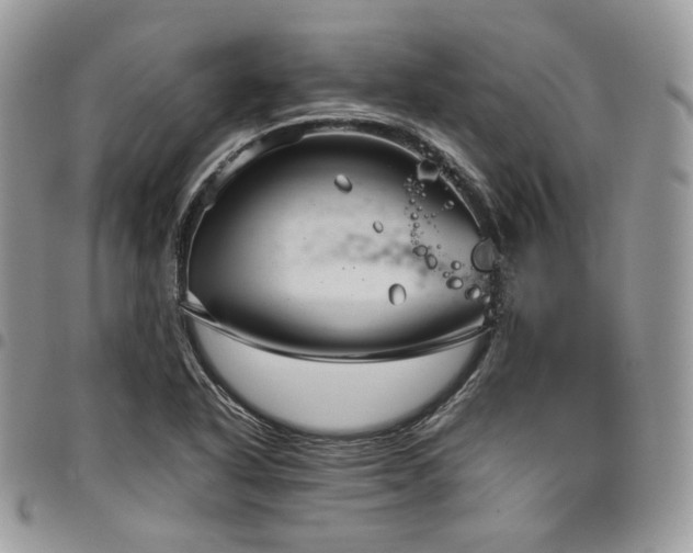 X0000098021318200803281326