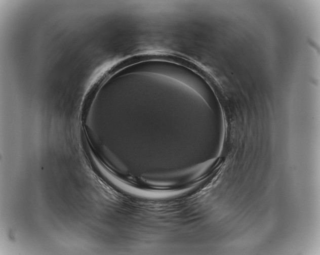 X0000098021319200803281326