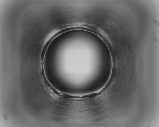 X0000098021320200803281326