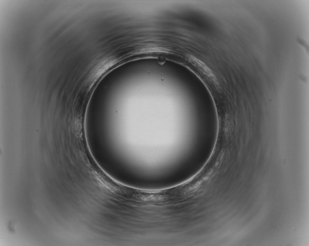 X0000098021321200803281326