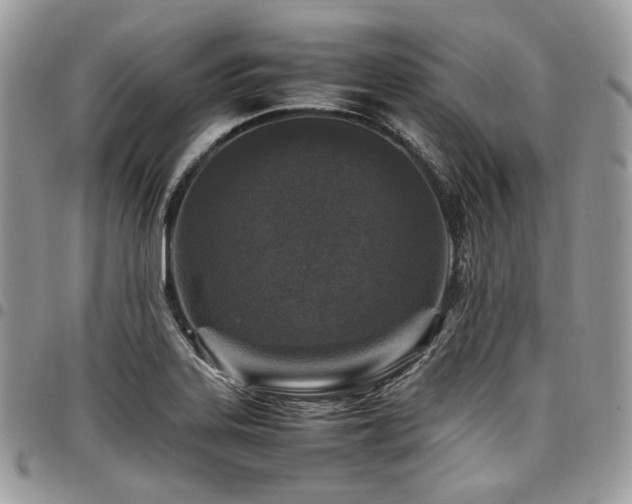 X0000098021323200803281326