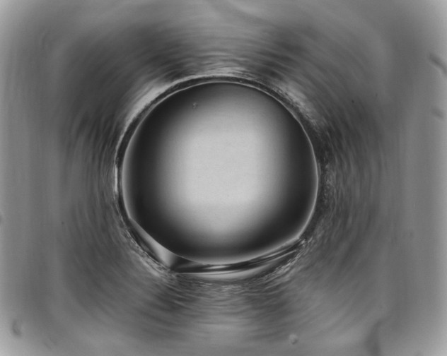 X0000098021324200803281326