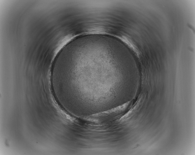 X0000098021325200803281326