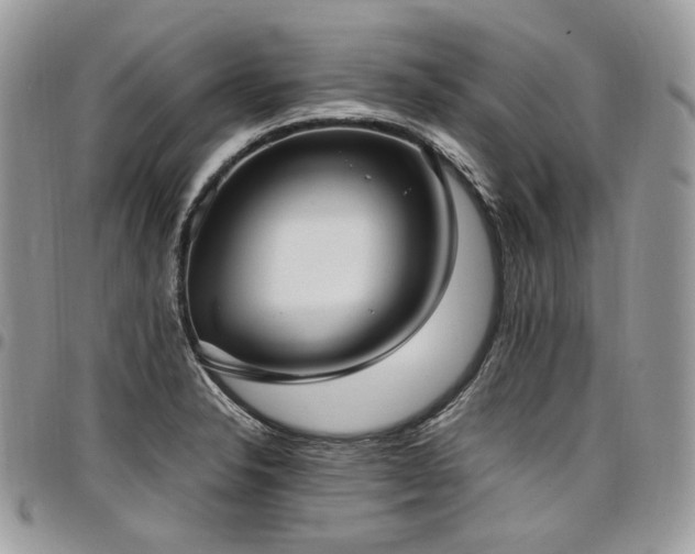 X0000098021326200803281326