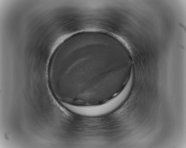 X0000098021327200803281326