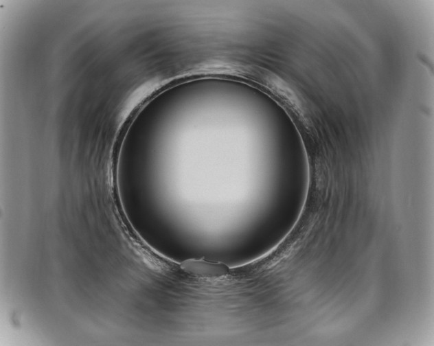 X0000098021328200803281326