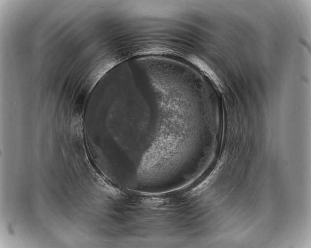 X0000098021329200803281326