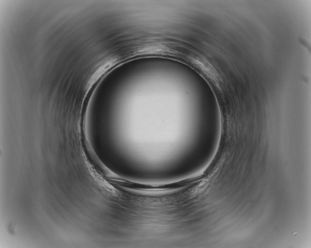 X0000098021330200803281326