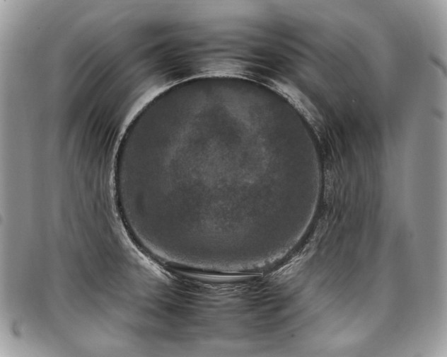 X0000098021331200803281326