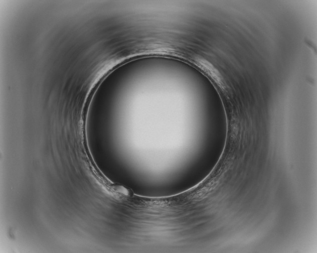 X0000098021332200803281326