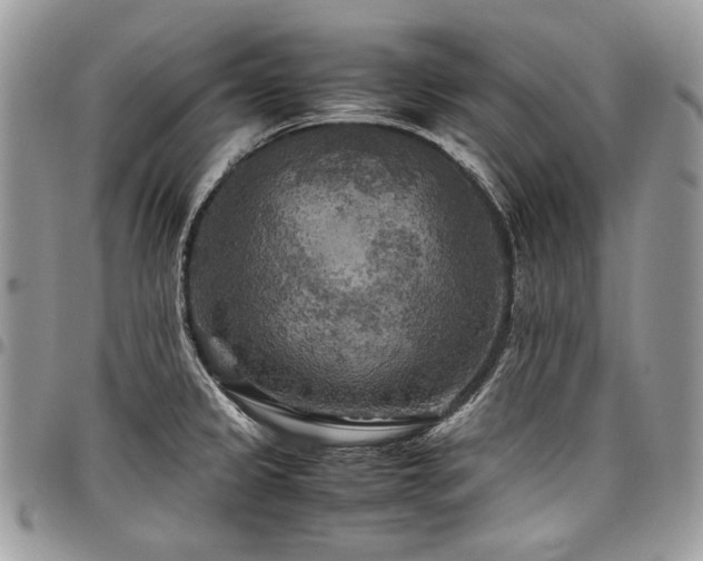 X0000098021333200803281326