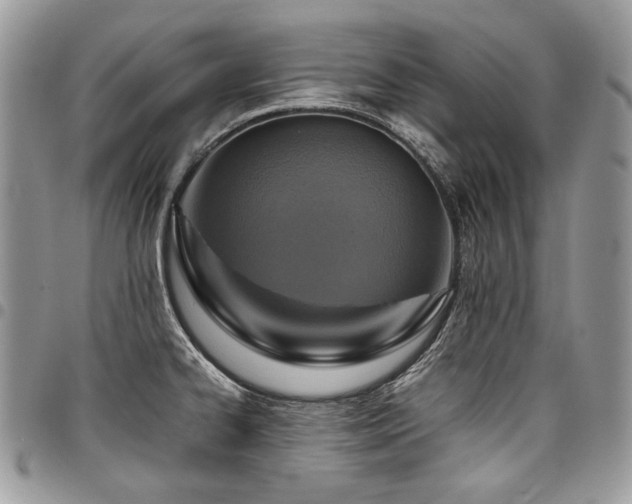 X0000098021334200803281326