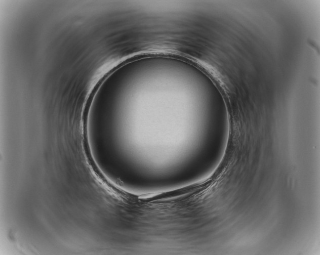 X0000098021335200803281326