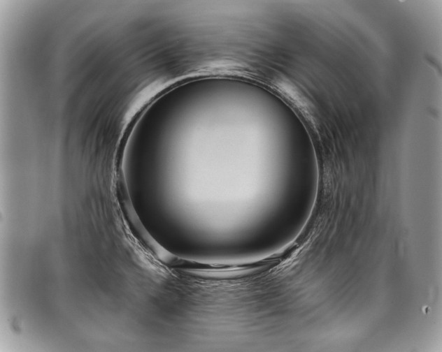 X0000098021336200803281326