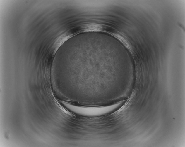 X0000098021337200803281326