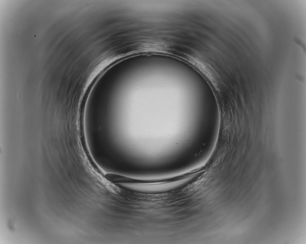 X0000098021339200803281326