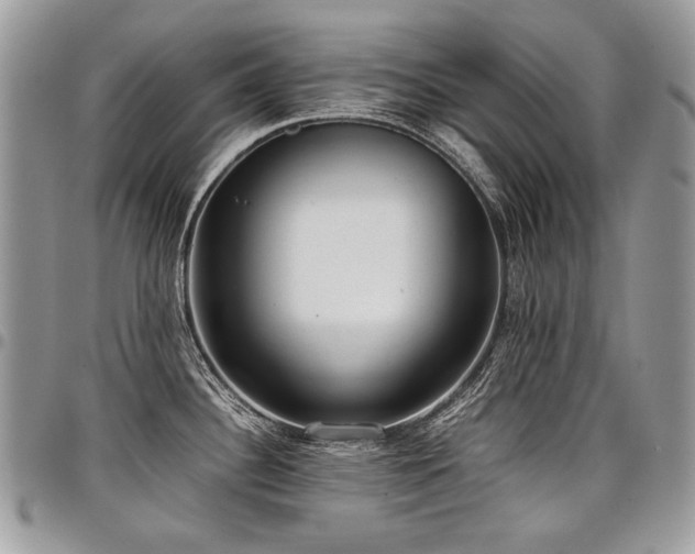 X0000098021340200803281326