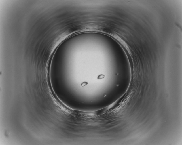 X0000098021341200803281326