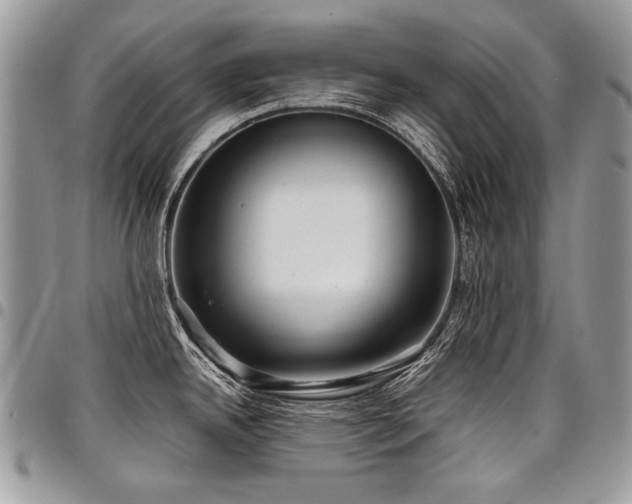 X0000098021342200803281326