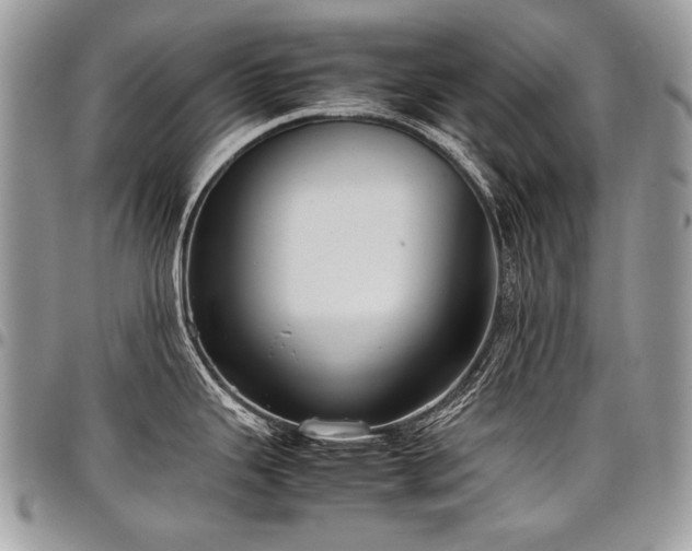 X0000098021343200803281326