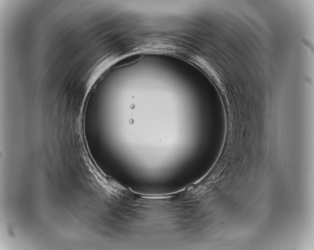 X0000098021344200803281326