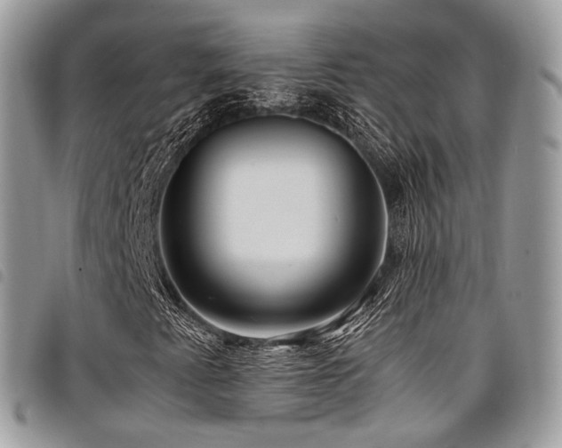 X0000098021345200803281325