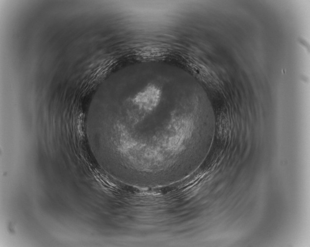 X0000098021346200803281325