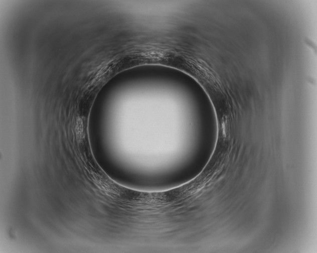 X0000098021347200803281325