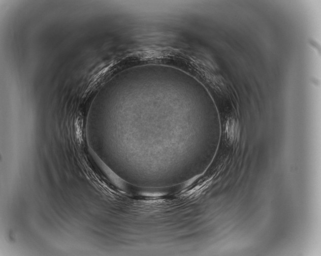 X0000098021348200803281325