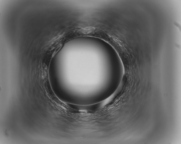 X0000098021349200803281325