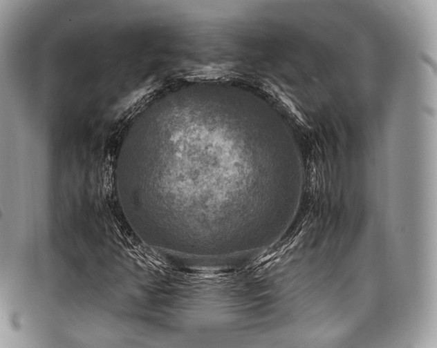 X0000098021350200803281325