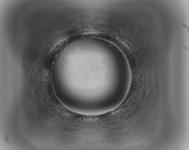 X0000098021351200803281325