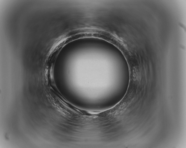 X0000098021352200803281325