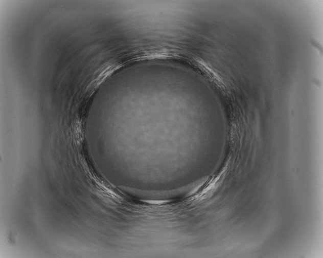 X0000098021353200803281325