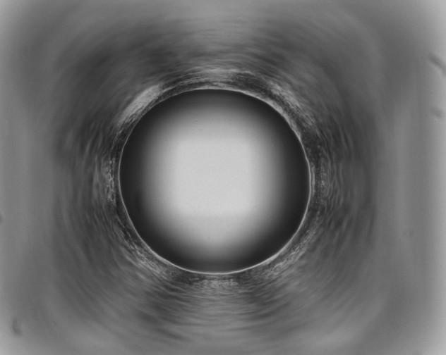 X0000098021354200803281325