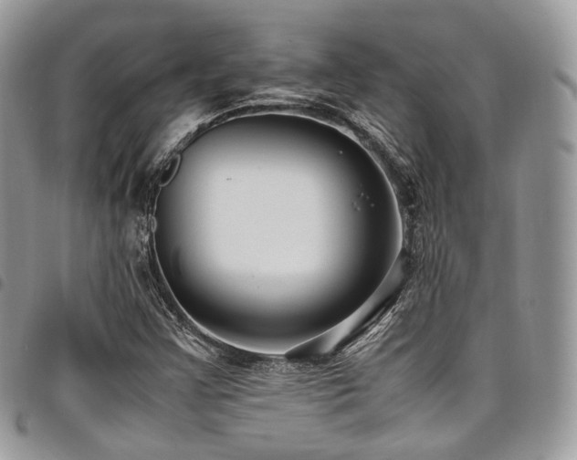 X0000098021355200803281325