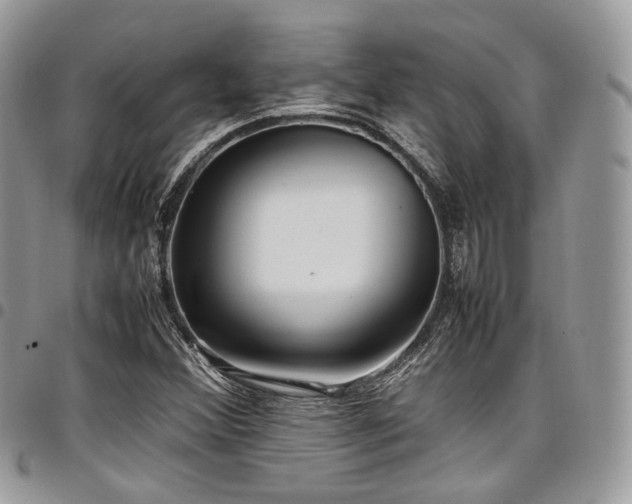 X0000098021356200803281325