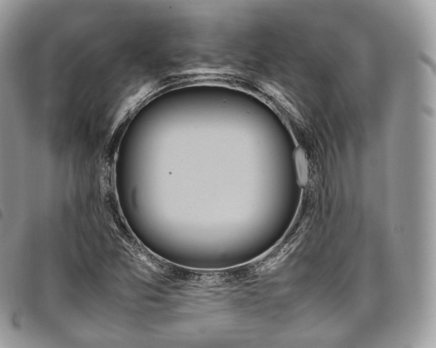 X0000098021357200803281325