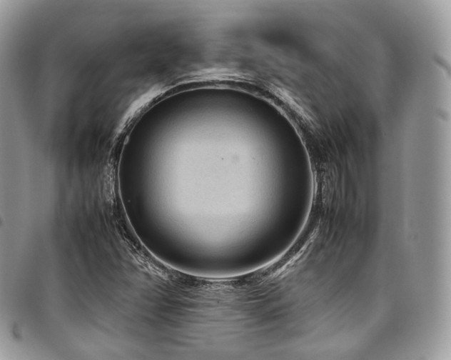 X0000098021358200803281325