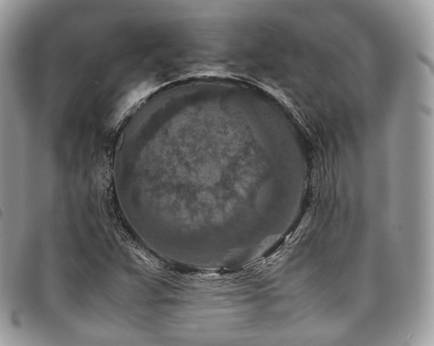 X0000098021359200803281325