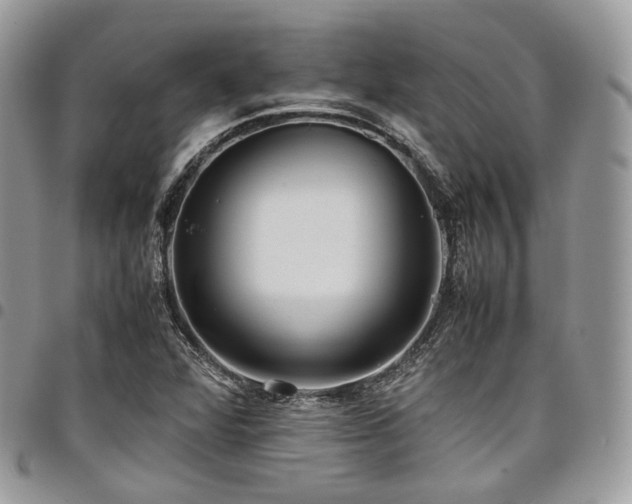 X0000098021360200803281325