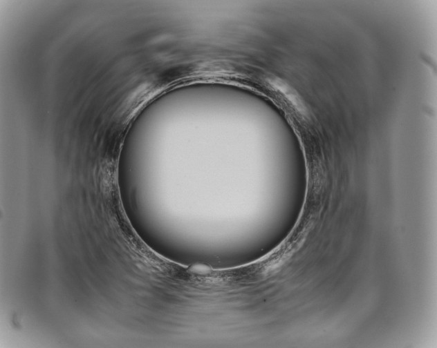 X0000098021361200803281325